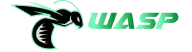 WASPSPIN